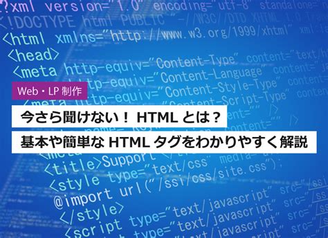 岡本渚|岡本渚とは？ わかりやすく解説